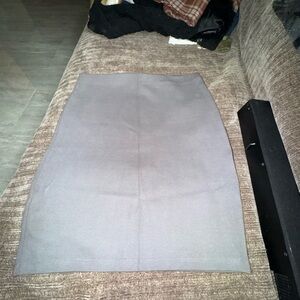 Elegant Gray Women's Skirt